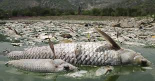 Biological Pollution