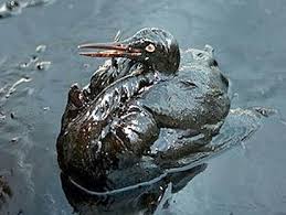 Biological Pollution (3)